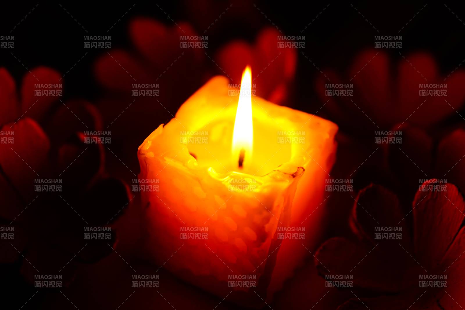 烛光温暖 花影相伴图片