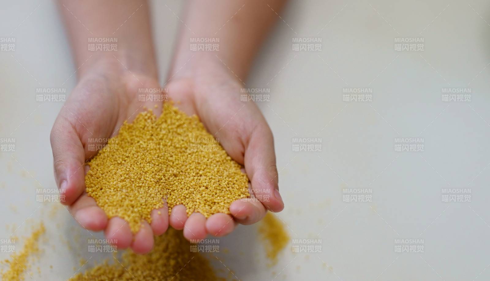 双手捧着黄色颗粒物图片