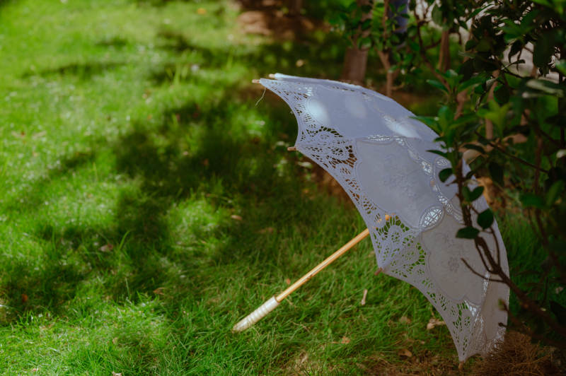 草地上遗落的透明伞图片