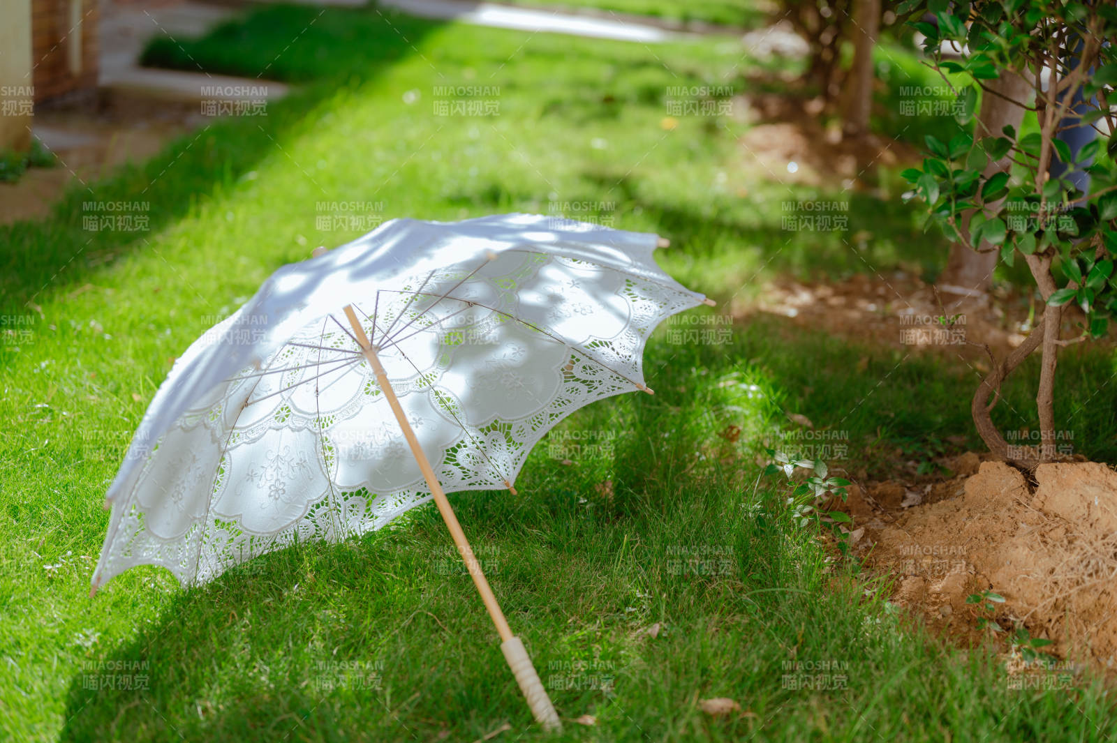 草地上遗落的白色伞图片