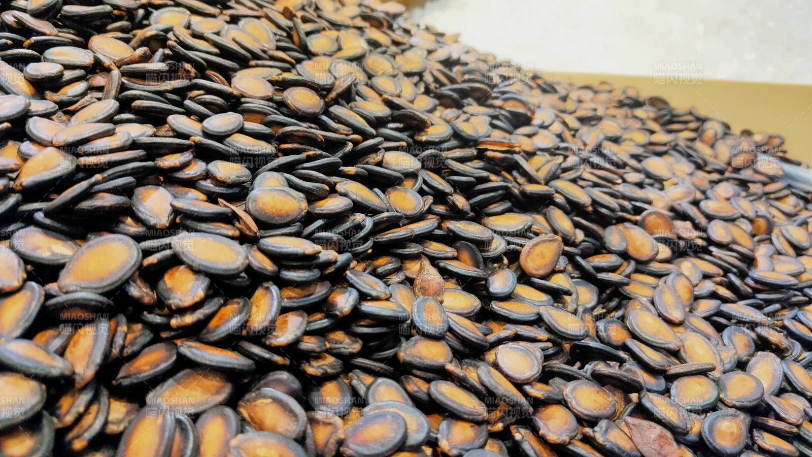 西瓜籽堆叠特写图片
