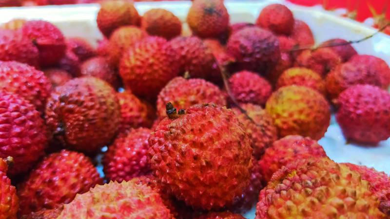 新鲜荔枝堆满盘图片