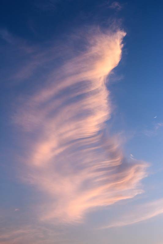 夕阳下的云柱奇观图片