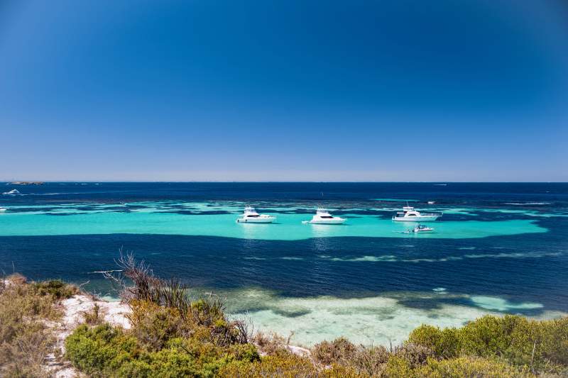 澳大利亚珀斯老鼠岛 碧海蓝天游艇停泊美景图片
