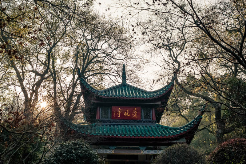 古亭幽林 晨光初照图片