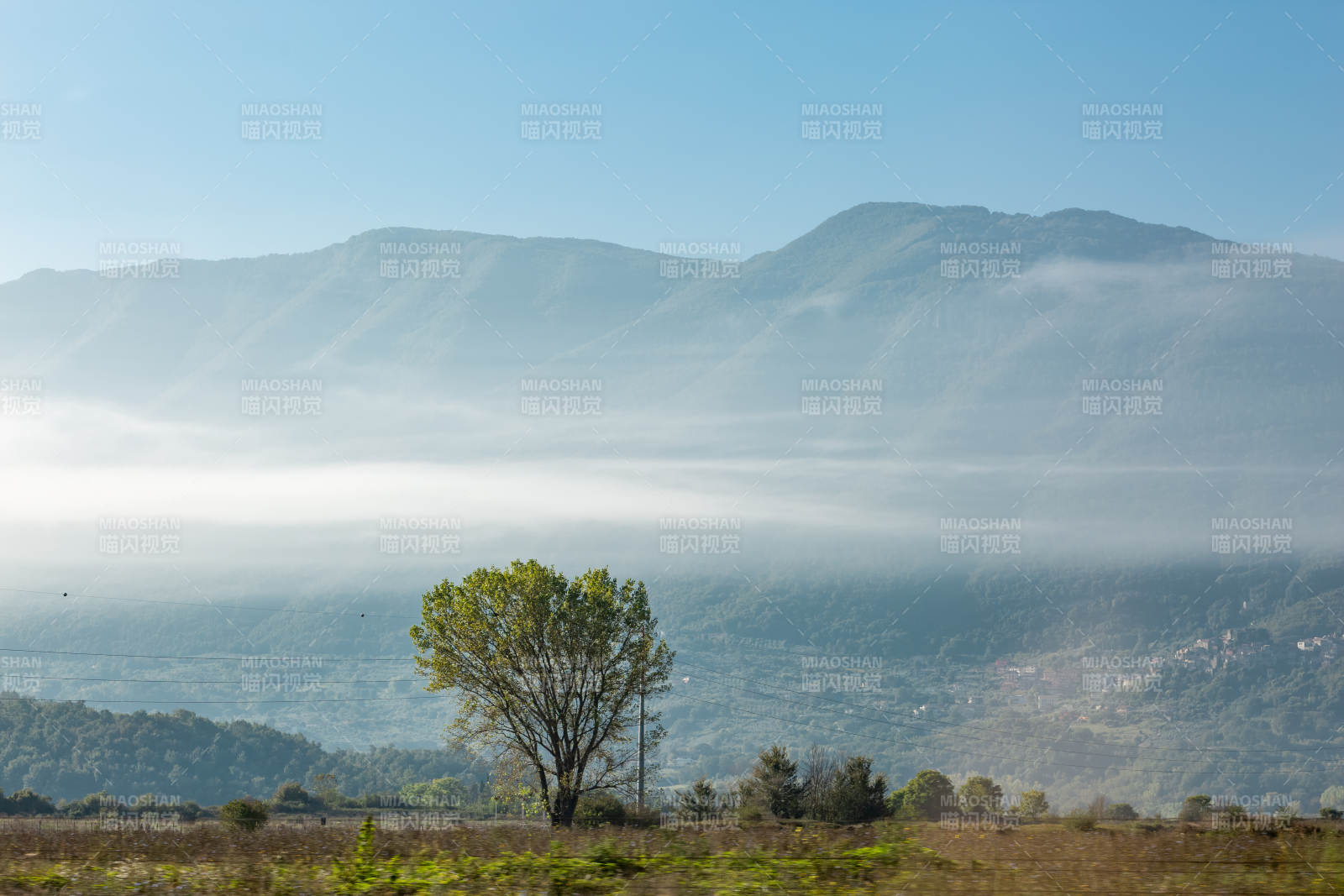 意大利山间雾霭 孤树静立图片