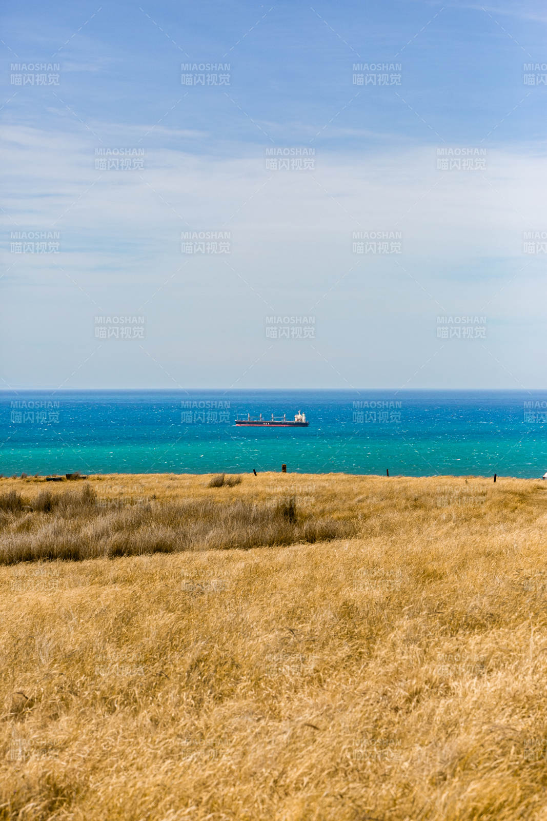 海边草地与远航货船图片
