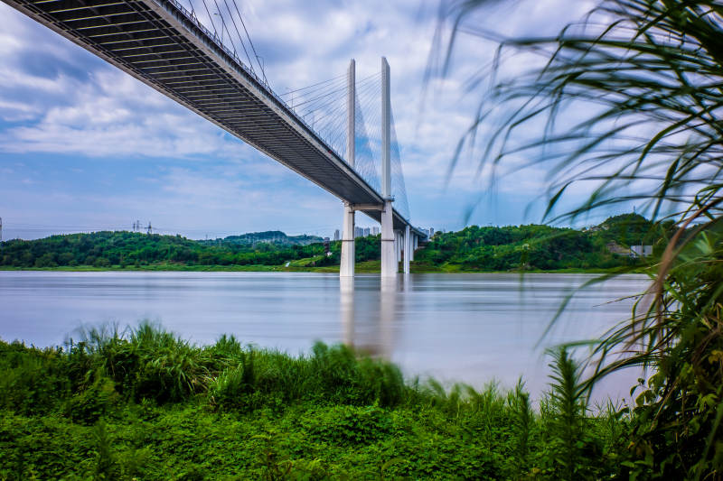 跨江大桥与绿植前景图片