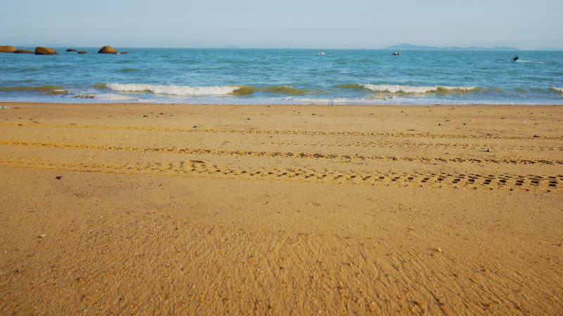 沙滩上的足迹与海浪图片
