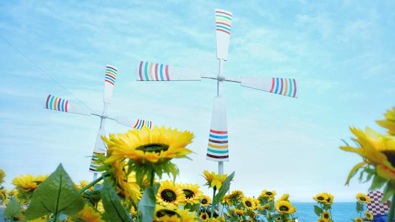 风车与向日葵的夏日风景图片