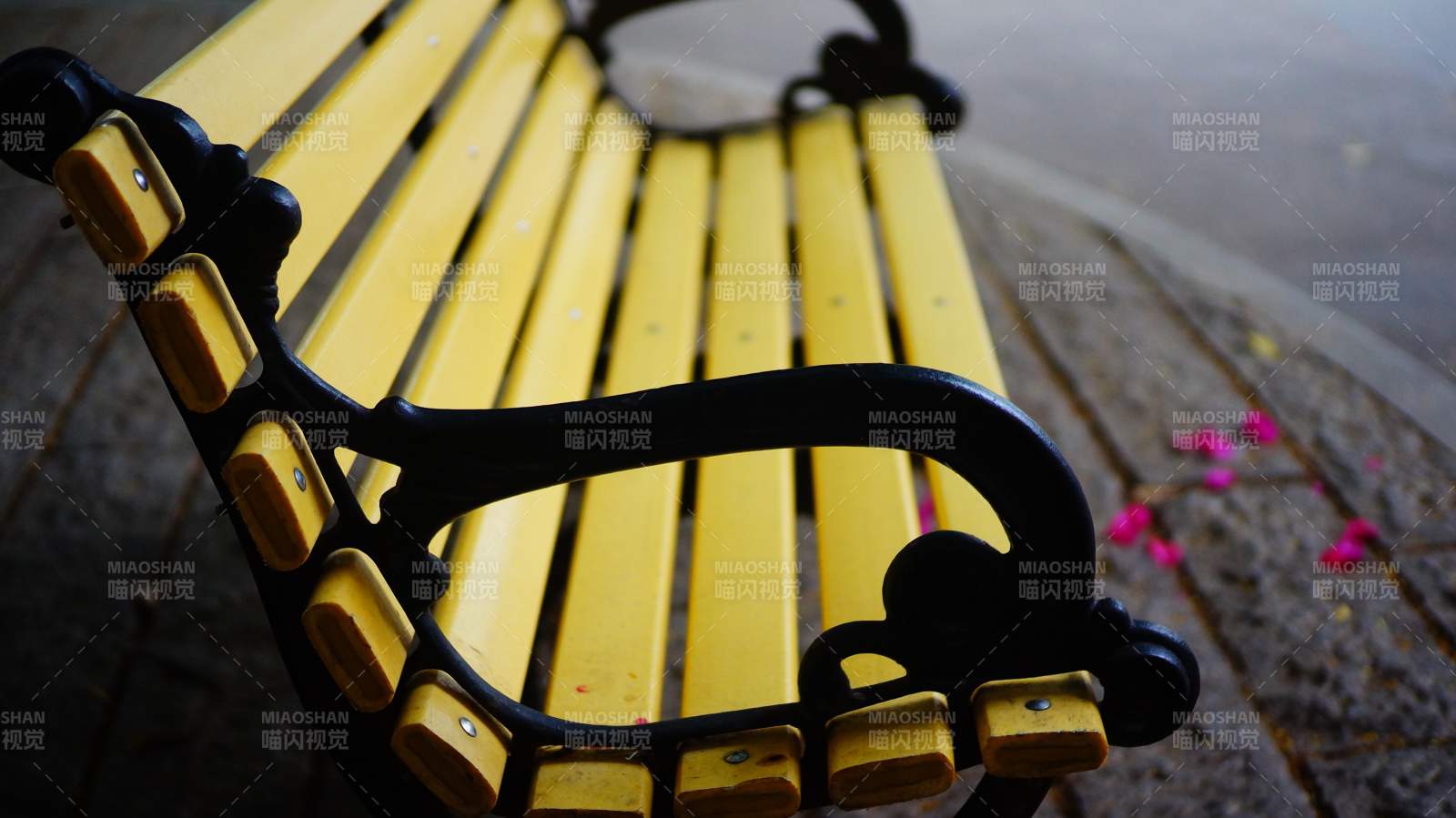 黄色长椅上的宁静时光图片