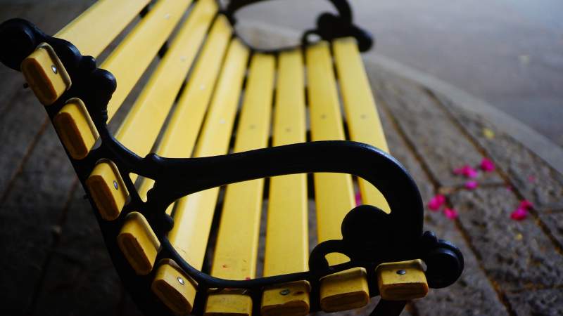 黄色长椅上的宁静时光图片