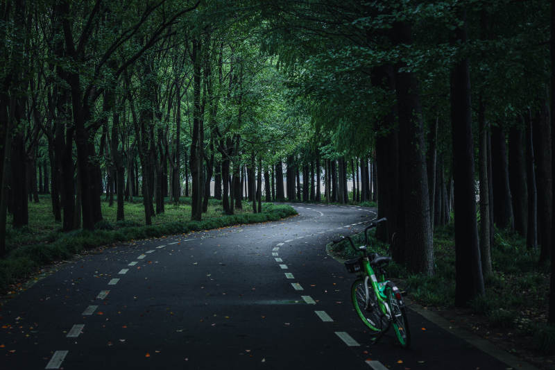 林间小径 单车静候图片