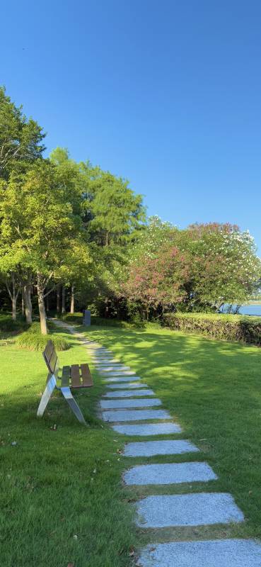 公园小径 绿树成荫图片