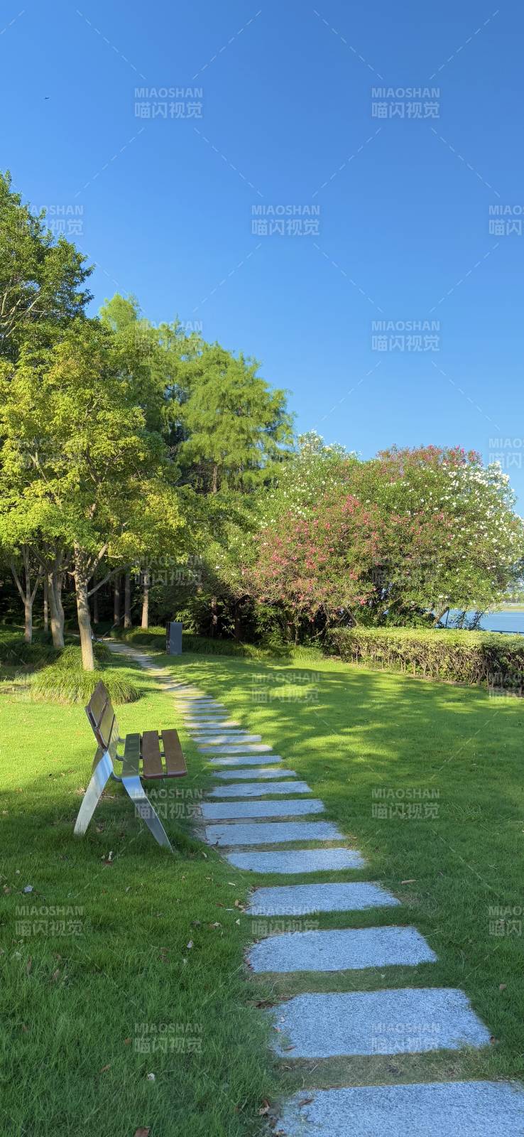 公园小径 绿树成荫图片