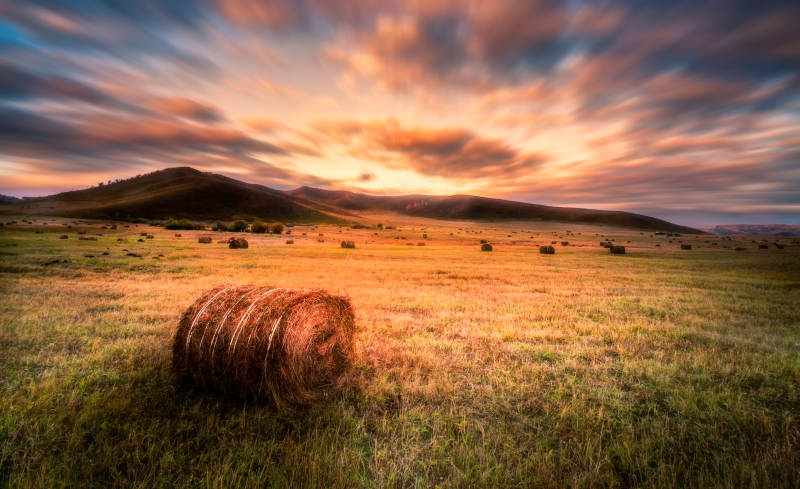 夕阳下的田野与草垛图片