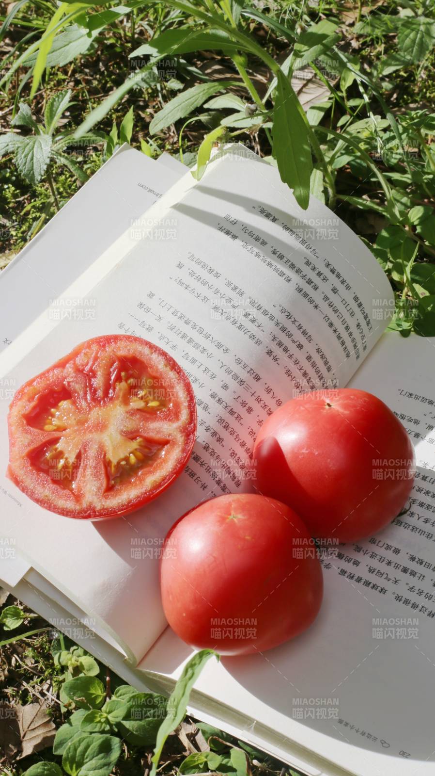 书页上的番茄时光图片