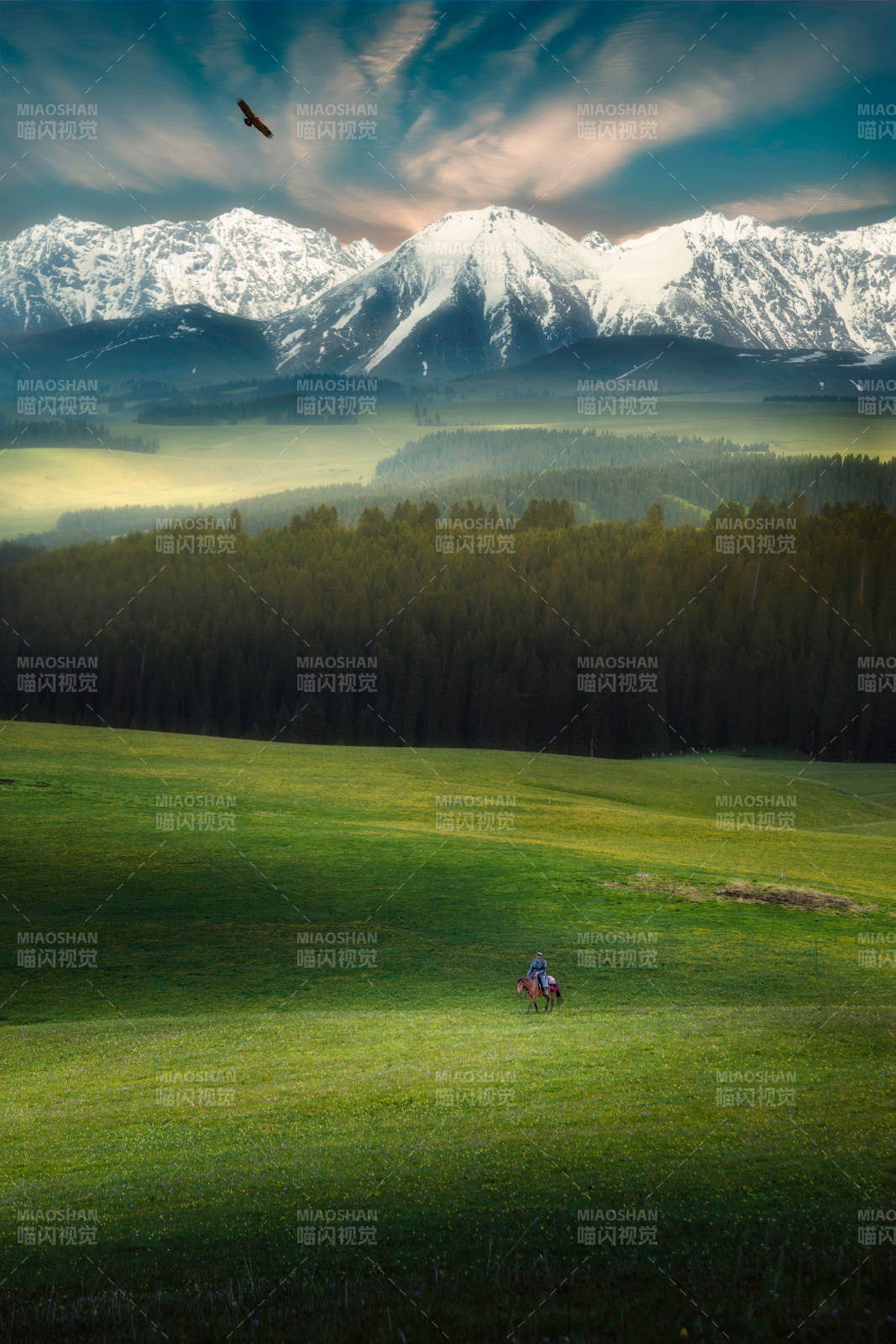 雪山草原骑马行图片