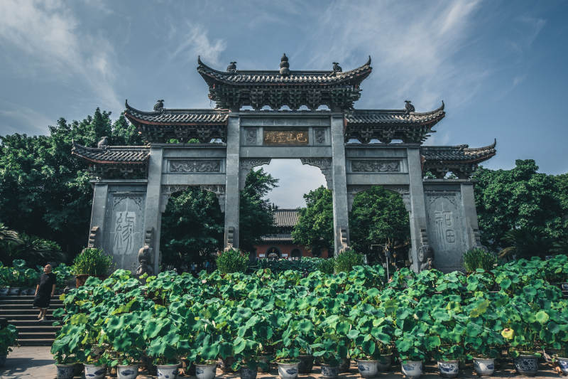 古建筑前的绿植景观图片