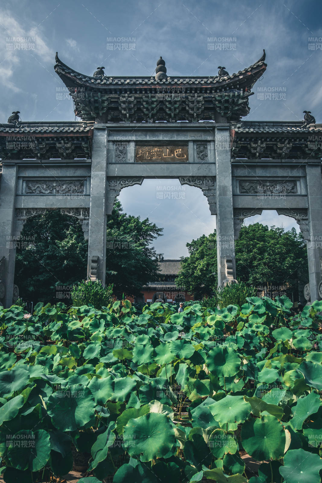 古寺门前荷叶茂盛图片