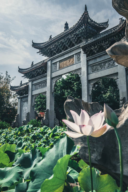 古亭荷塘 静谧雅致图片