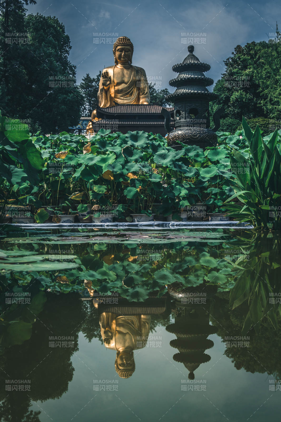 佛像莲池倒影宁静图片
