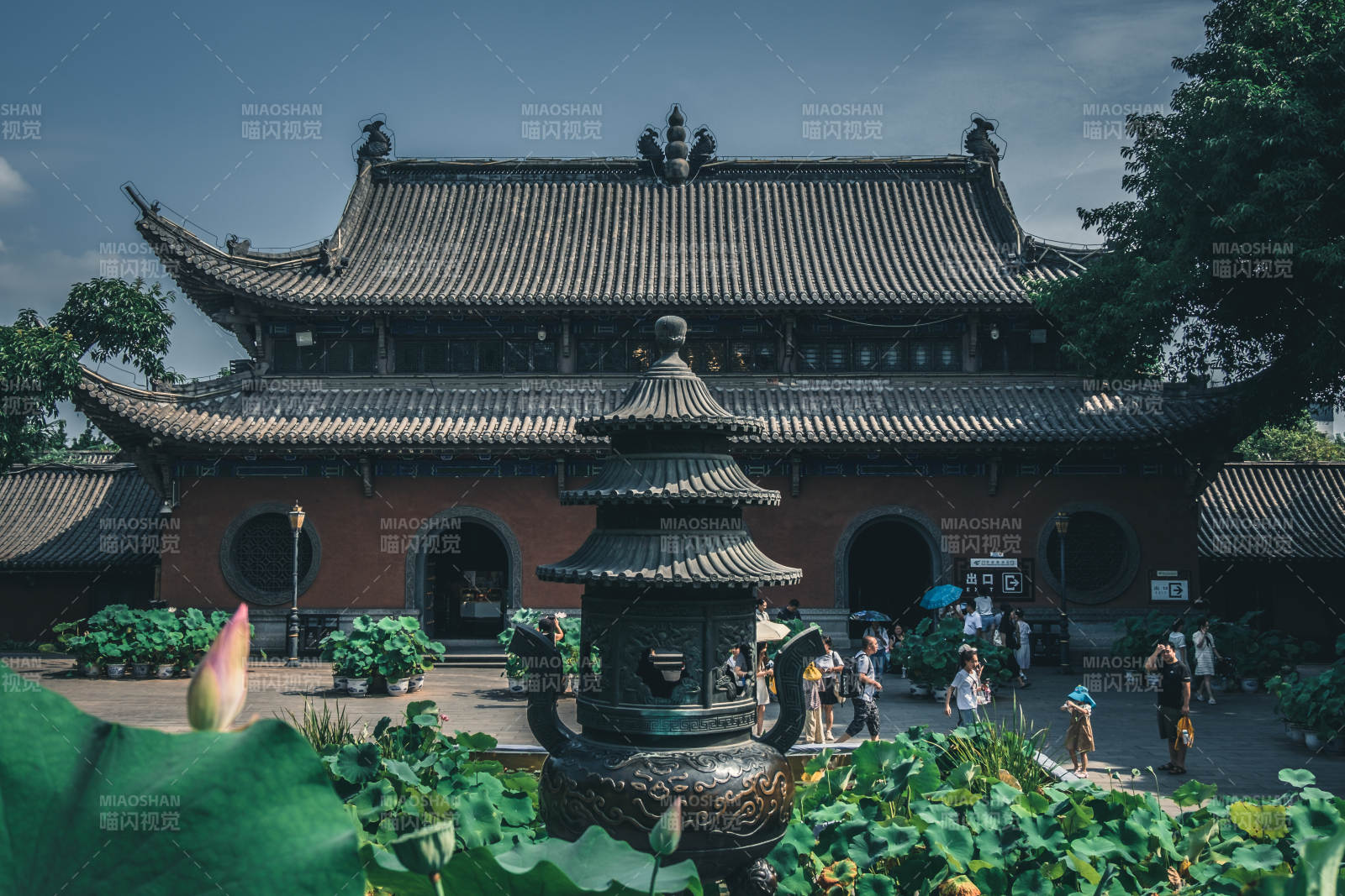 古寺莲池 静谧幽雅图片