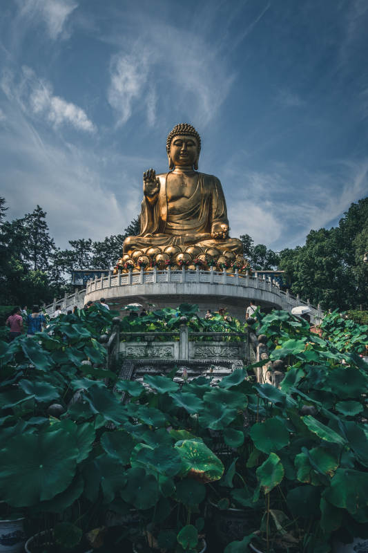 金佛莲池映蓝天图片