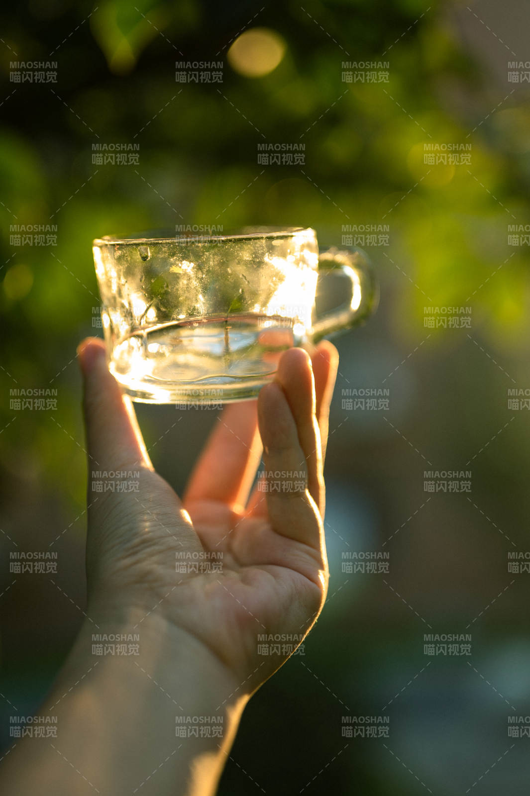 手捧透明杯 阳光洒满心图片