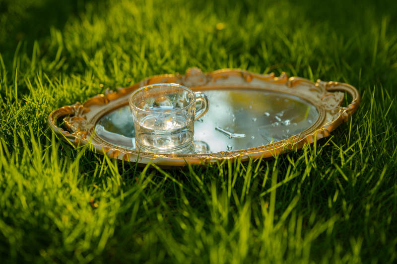 草地上的茶杯与托盘图片