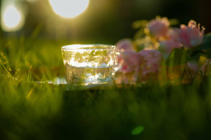 草地上的花与水杯图片