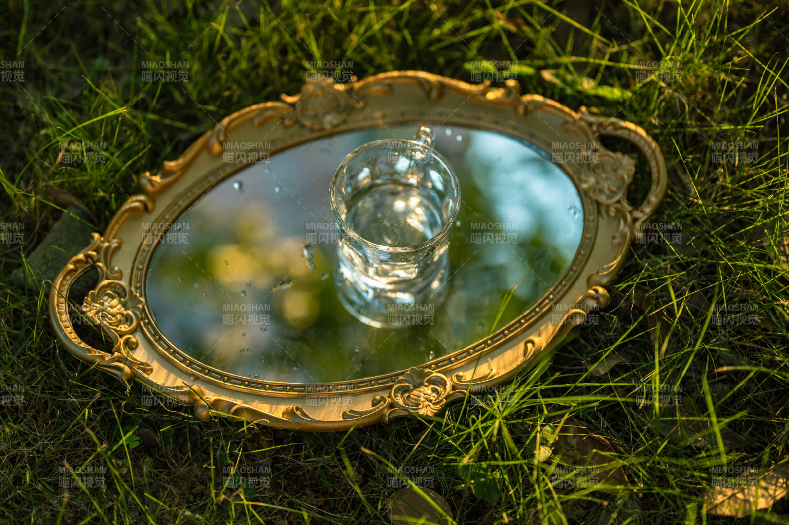 镜中水杯映绿草图片