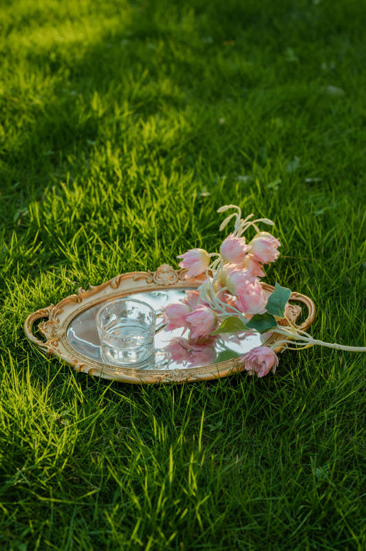 草地上精致的花与茶盘图片