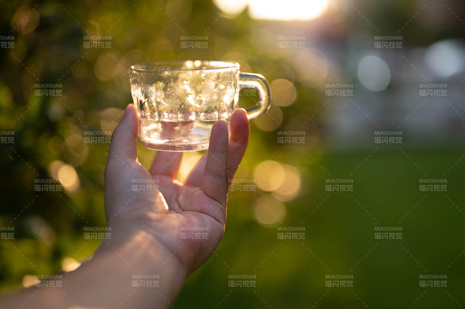 手捧水杯 阳光洒落图片