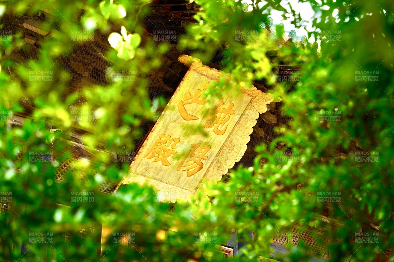 绿叶掩映古牌匾图片