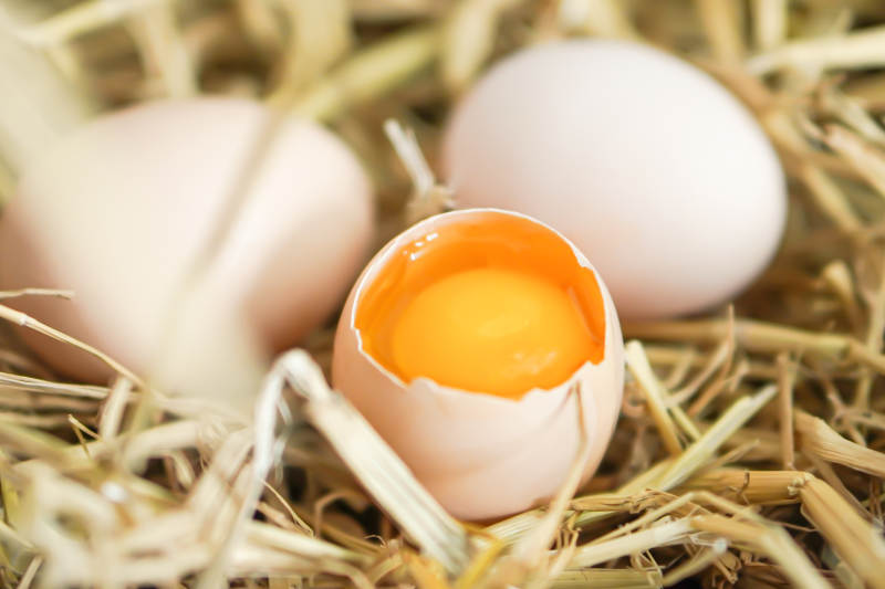 新鲜鸡蛋与蛋黄特写图片