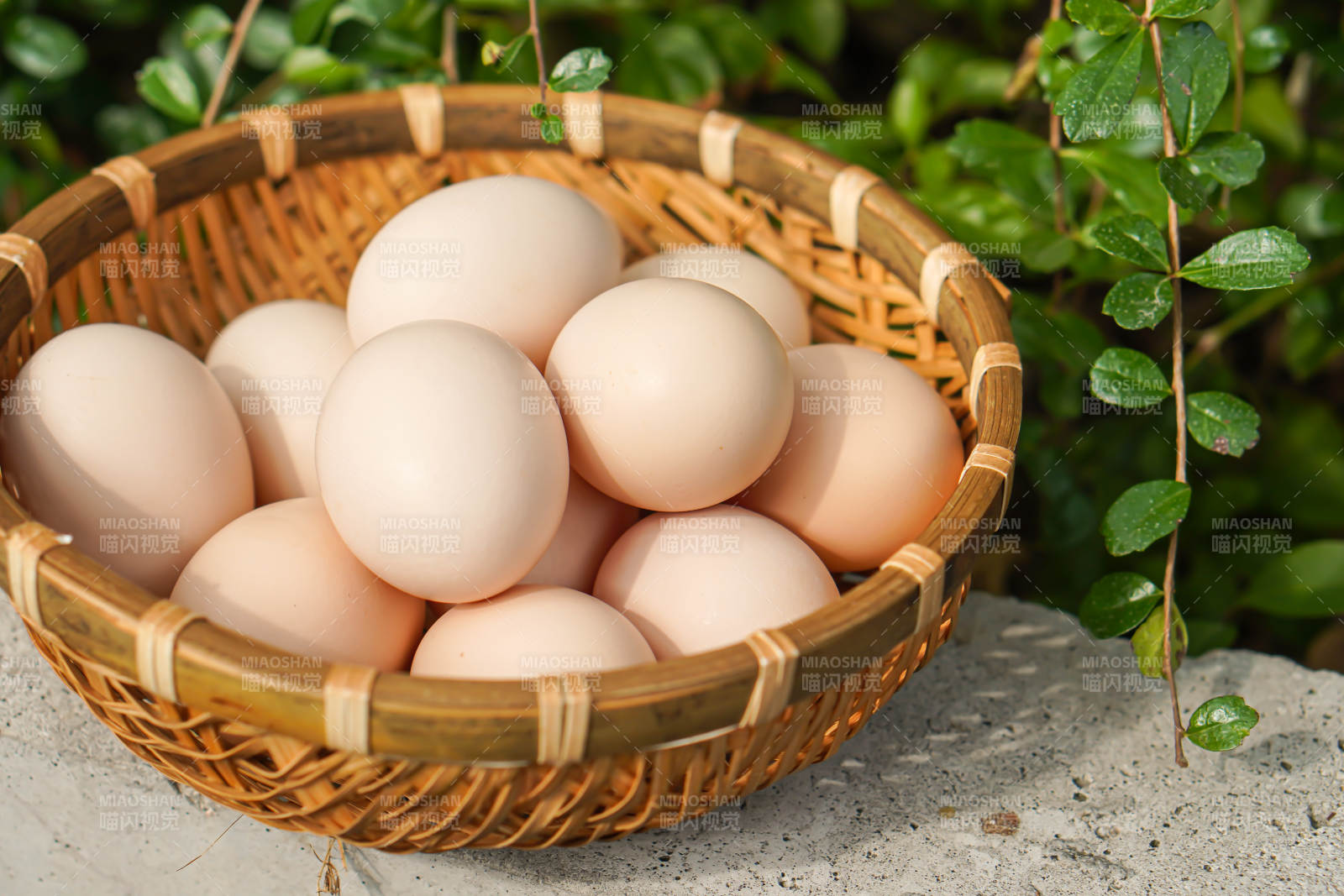 篮子里的鸡蛋图片