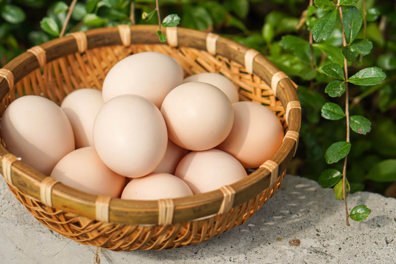 篮子里的鸡蛋图片