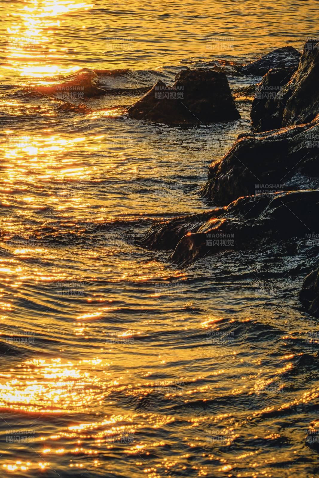 夕阳下的金色海浪图片