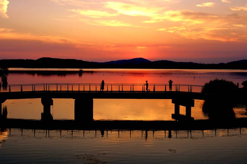 夕阳下的桥影倒映图片