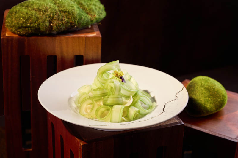 清新绿意盘中景图片