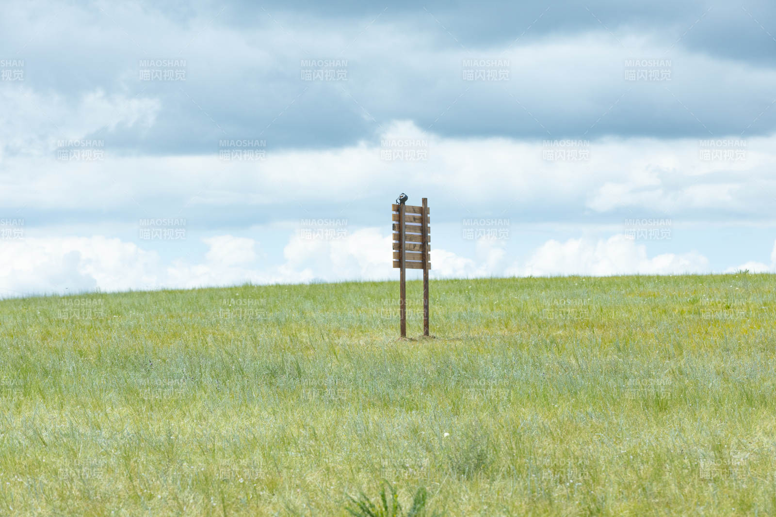 草原上的指示牌图片