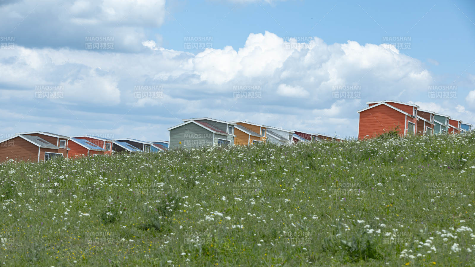 乡村小屋与野花田图片