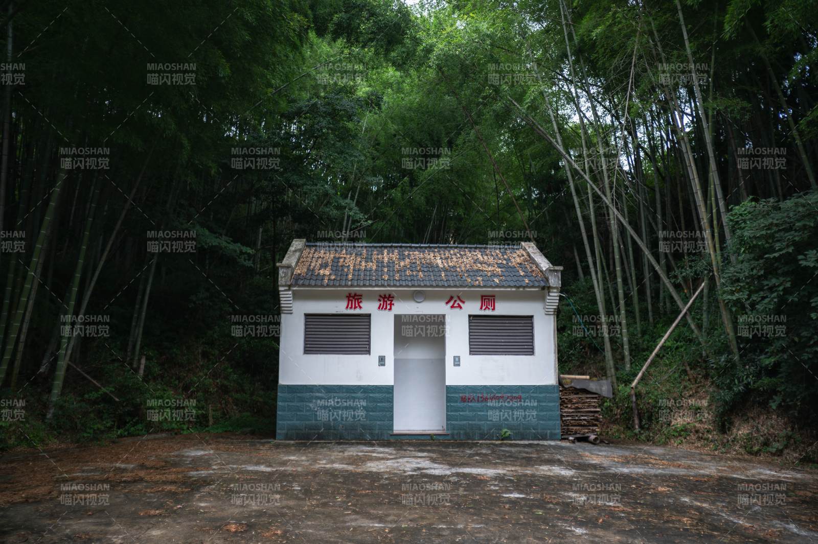 竹林中的公厕图片