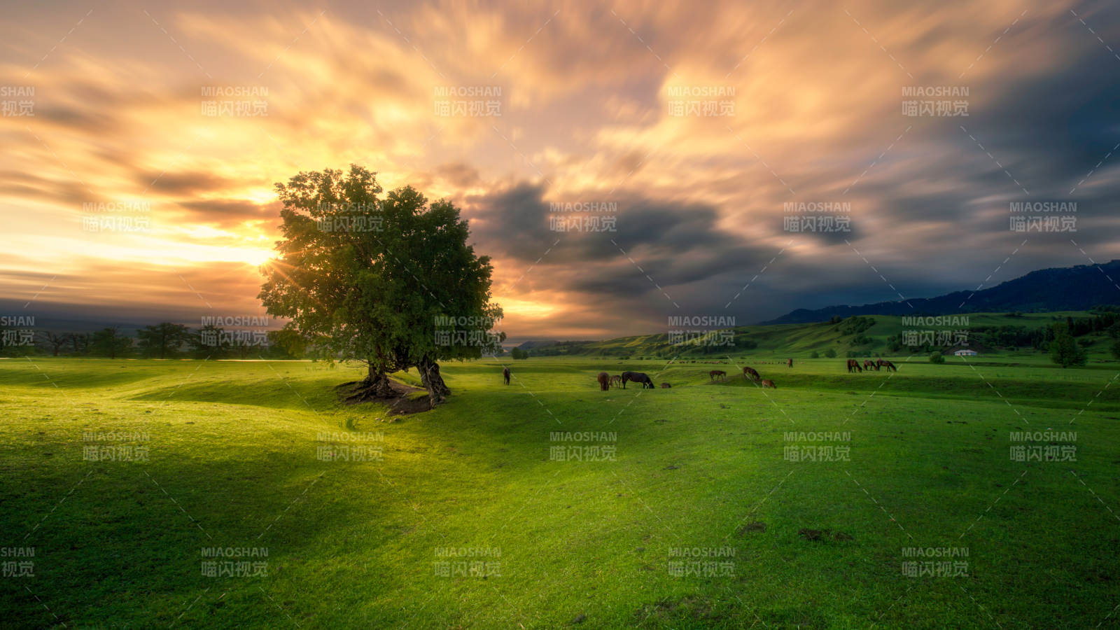 夕阳下的草原风光图片