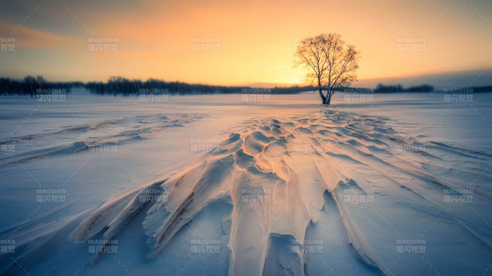 冬日雪原孤树夕阳图片