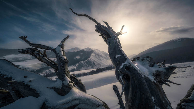雪中枯木映山景图片
