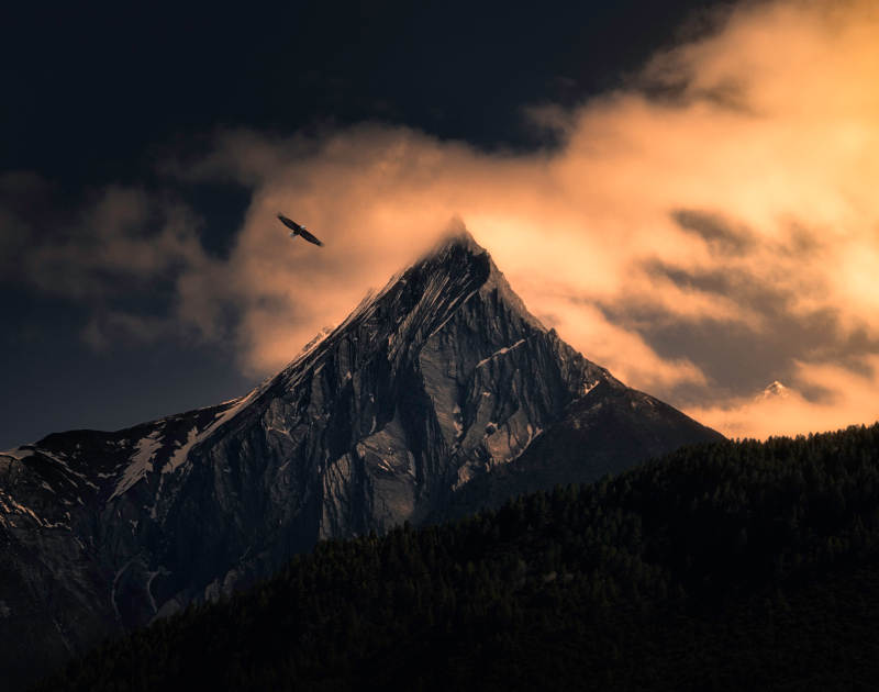 山巅云影 鹰翔天际图片