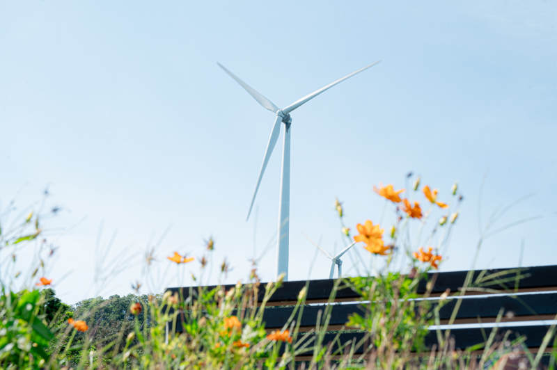 风车与太阳能板共舞图片