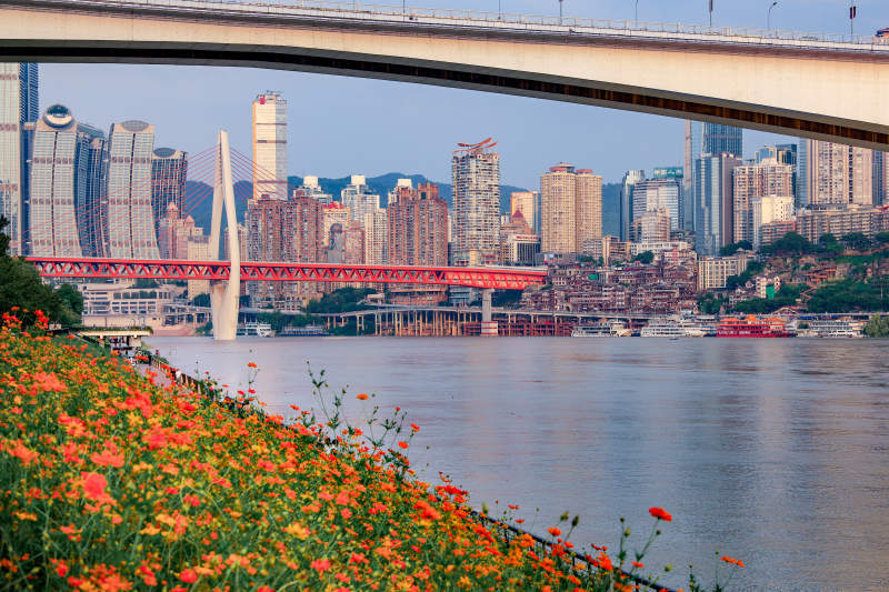 重庆江畔花海映桥城图片